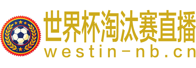 世界杯淘汰赛直播‌